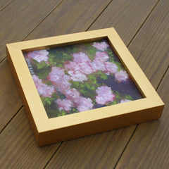 Champney's Pink Cluster