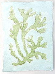 Chartreuse Seaweed No. 2