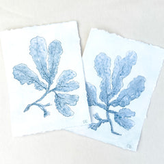 Indigo Seaweed No. 2