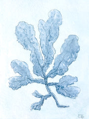 Indigo Seaweed No. 2