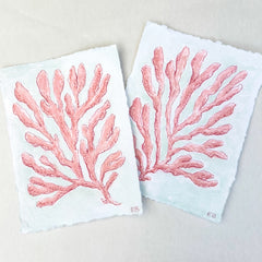 Pink Seaweed No. 1