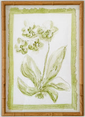 Toile Orchid No. 1