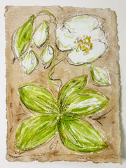 Wild Orchid on Sepia No. 1