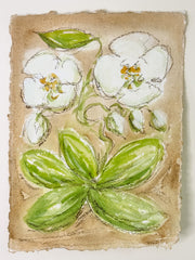 Wild Orchid on Sepia No. 2