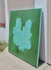 Emerald Reef