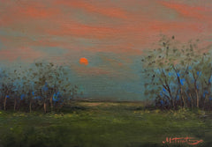 Evening Landscape Study