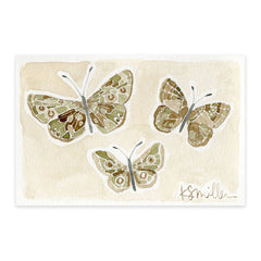 Butterflies 014
