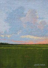 Spartina Sunset