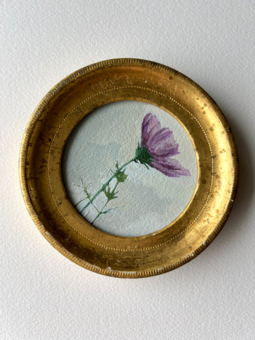 Cosmos Study i