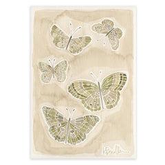Butterflies 015