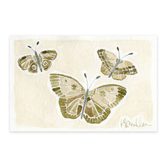Butterflies 04
