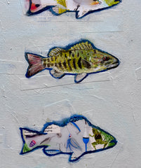 Smallmouth Bass