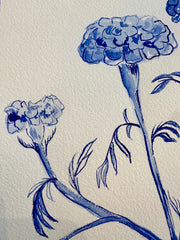 Blue Marigold
