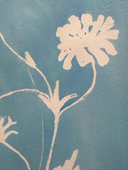 Butterfly Ranunculus