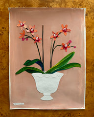 Orchids are so Classic-Mauve