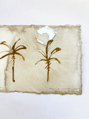Palms on Coffee IV