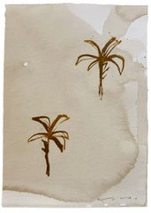 Palms on Coffee VI
