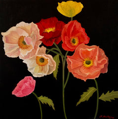 Poppies VI