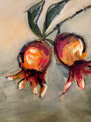 Punica