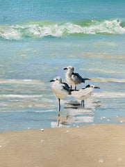 Sandpipers