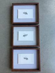 Bee 2