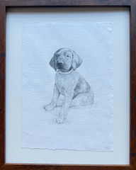 Pup