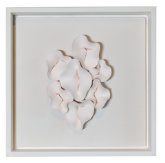Chrysalis in Ivory