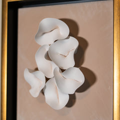 Cocoon in Duet