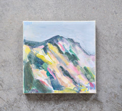 Telluride Study II