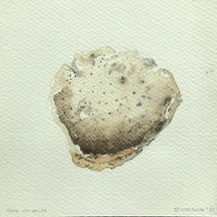 Shell with Holes (Front)