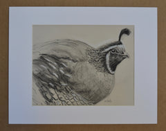 Charcoal Study Quail 1