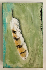 Barn Owl Feather