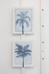 Indigo Palm II