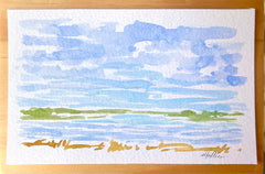 Lowcountry Marsh V
