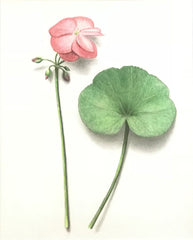 Botanical I