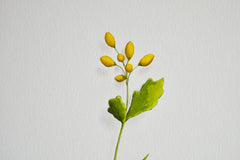 Yellow Flower 2