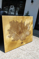 Amber Vines
