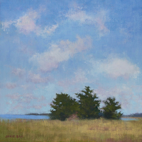 Cedars on the Waterway
