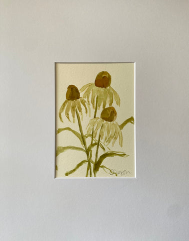 Coneflower