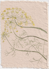 Dill