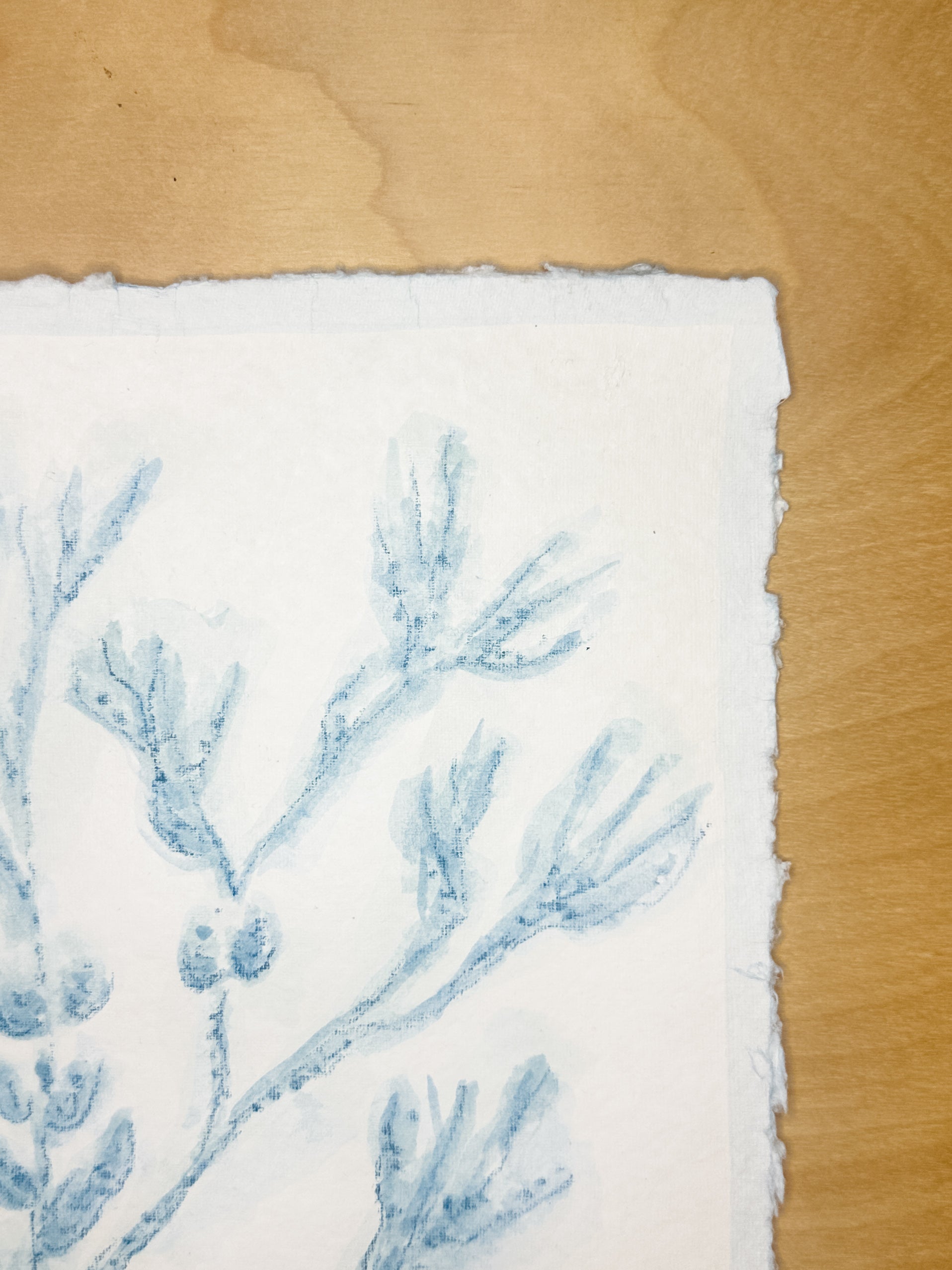 Blue Sea Kelp No. 4