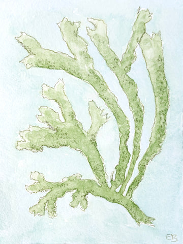 Chartreuse Seaweed No. 1