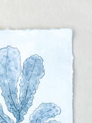 Indigo Seaweed No. 1
