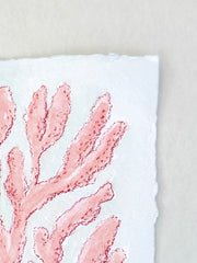 Pink Seaweed No. 1