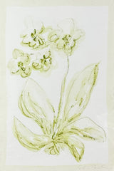 Toile Orchid No. 1