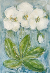 White Orchid Trio III