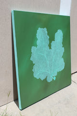 Emerald Reef
