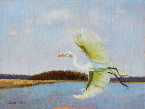 Fly By