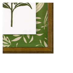 Peruvia Lily Green 01A