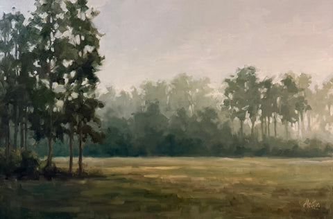 Misty Morning